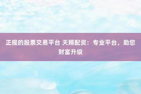 正规的股票交易平台 天赐配资：专业平台，助您财富升级