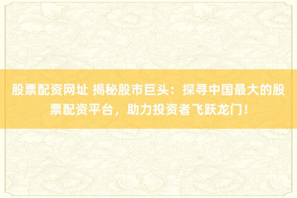 股票配资网址 揭秘股市巨头：探寻中国最大的股票配资平台，助力投资者飞跃龙门！
