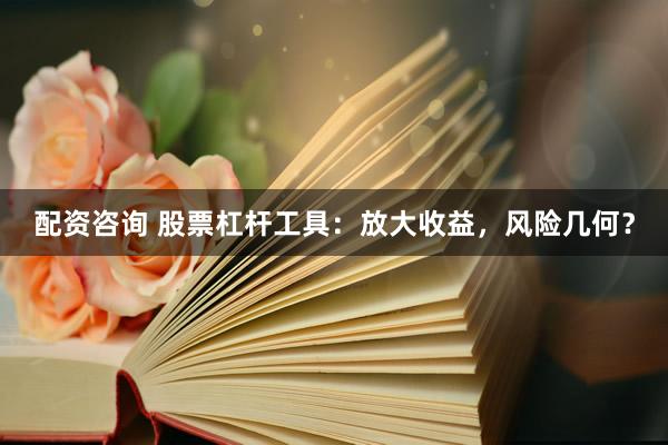 配资咨询 股票杠杆工具：放大收益，风险几何？