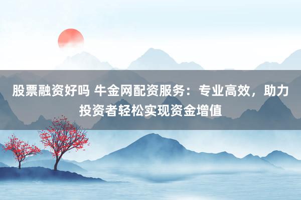 股票融资好吗 牛金网配资服务：专业高效，助力投资者轻松实现资金增值