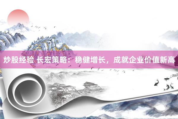 炒股经验 长宏策略：稳健增长，成就企业价值新高