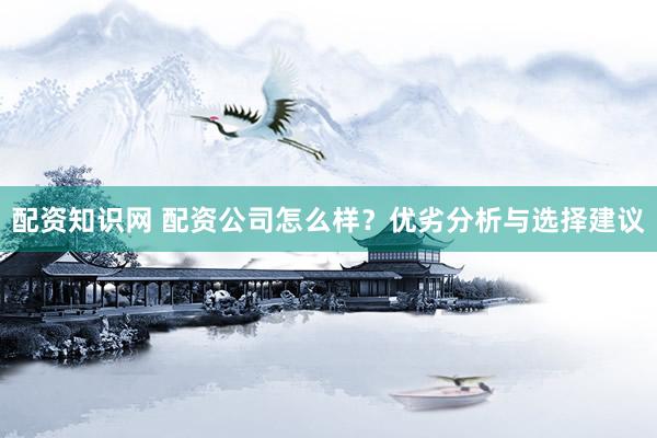 配资知识网 配资公司怎么样？优劣分析与选择建议
