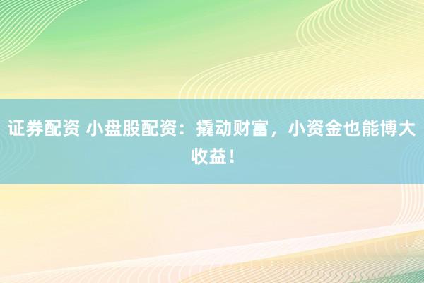 证券配资 小盘股配资：撬动财富，小资金也能博大收益！
