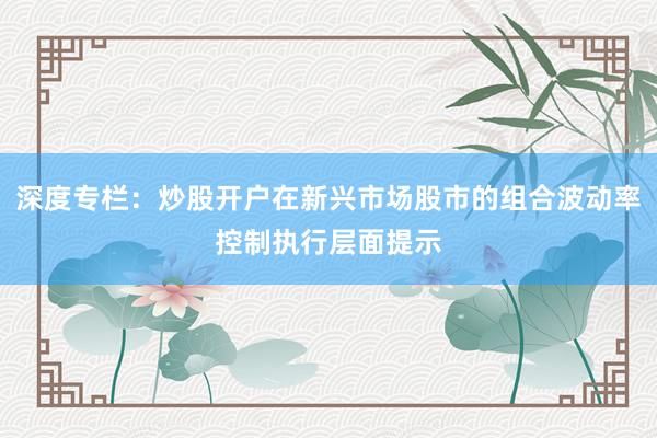 深度专栏:炒股开户在新兴市场股市的组合波动率控制执行层面提示