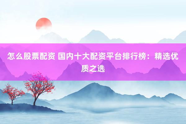 怎么股票配资 国内十大配资平台排行榜：精选优质之选