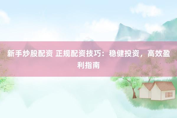 新手炒股配资 正规配资技巧：稳健投资，高效盈利指南