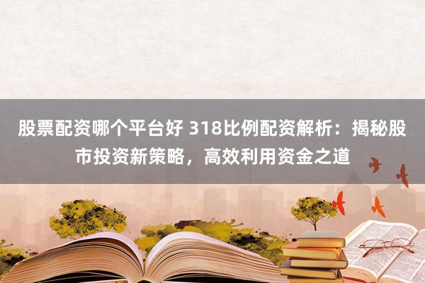 股票配资哪个平台好 318比例配资解析：揭秘股市投资新策略，高效利用资金之道